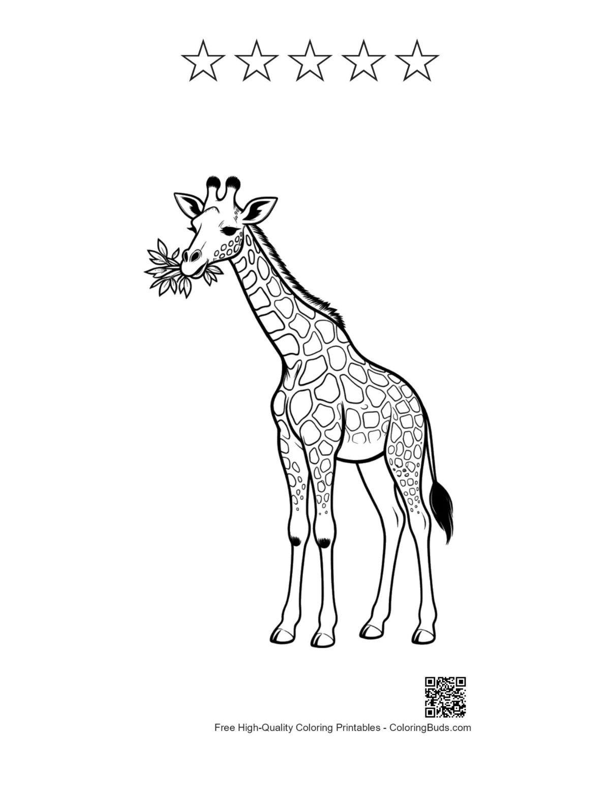 Giraffe eating leaves with 5-star outline printable