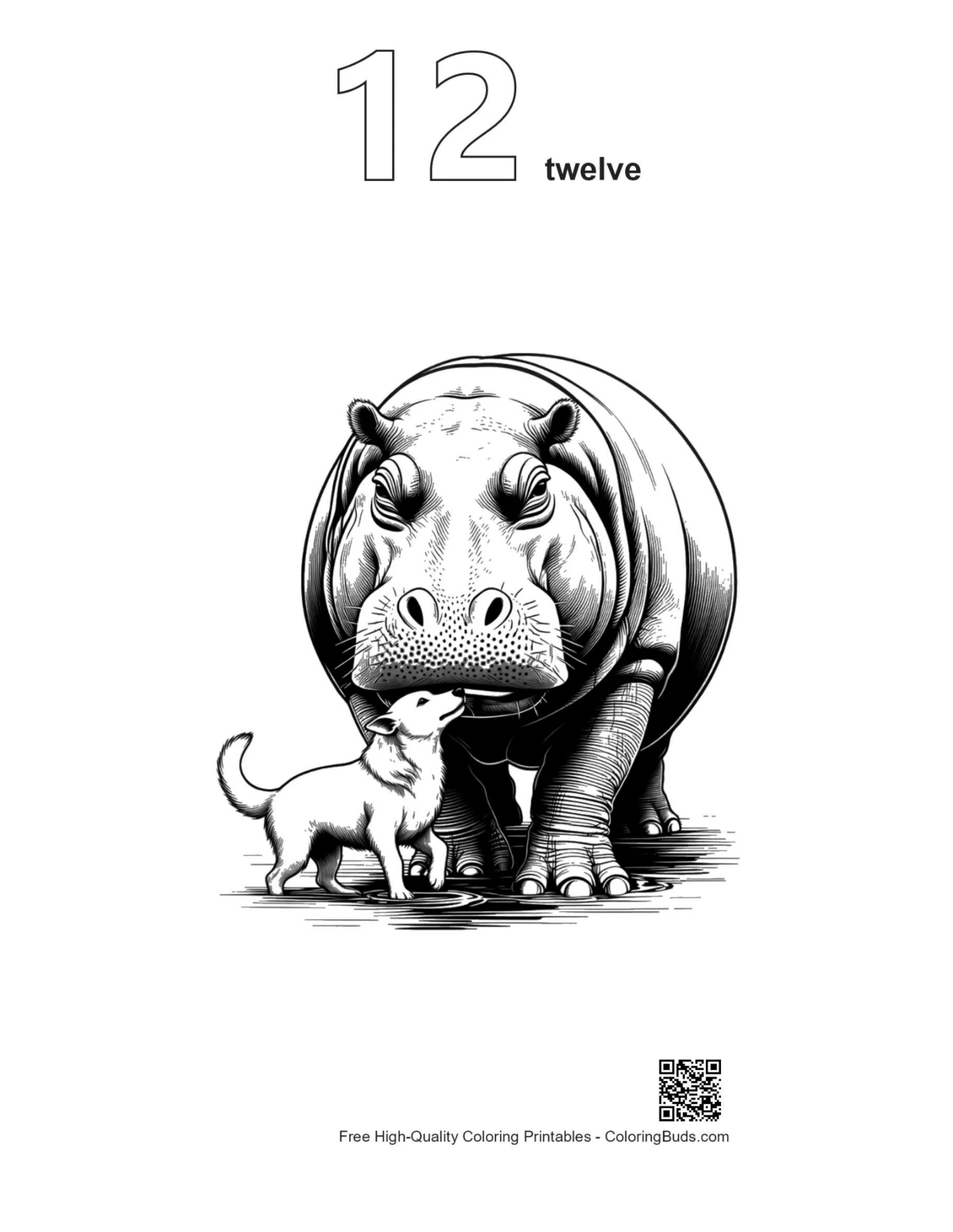 Hippo in water outline coloring page number 12
