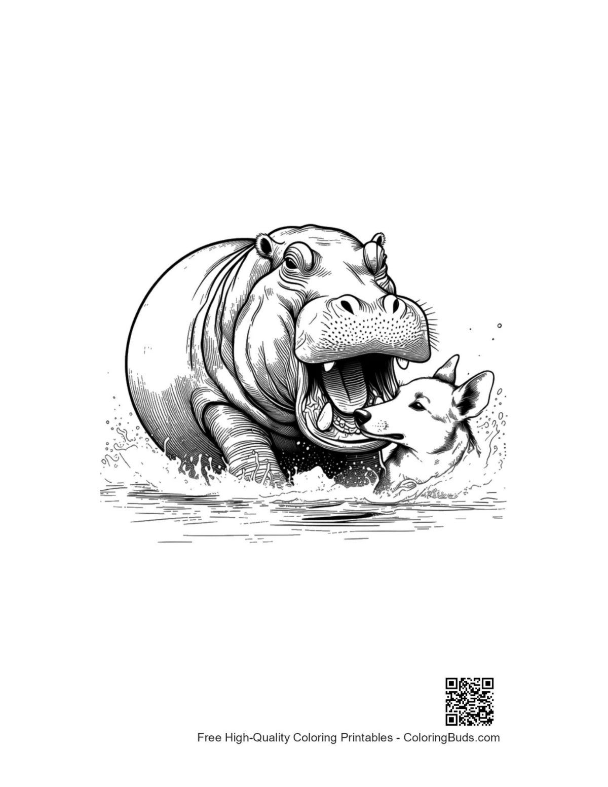 Hippo wrestling husky river splash coloring page