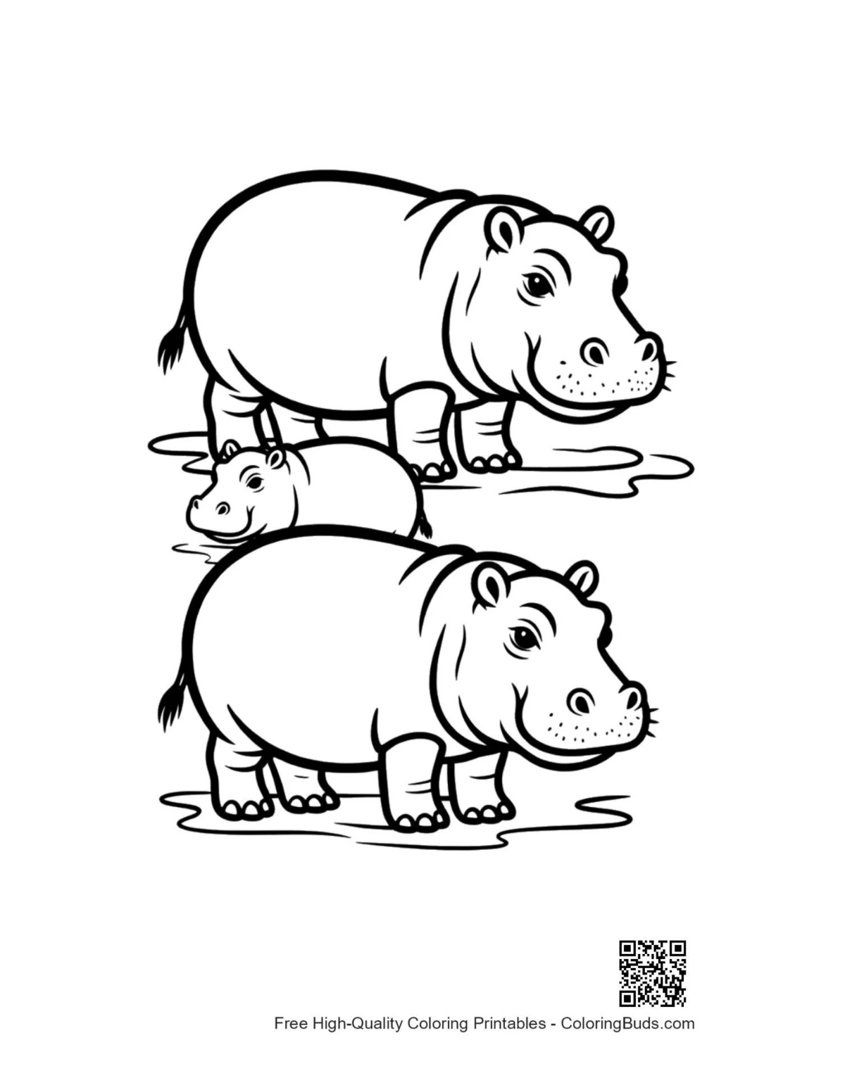 Playful hippo family coloring page