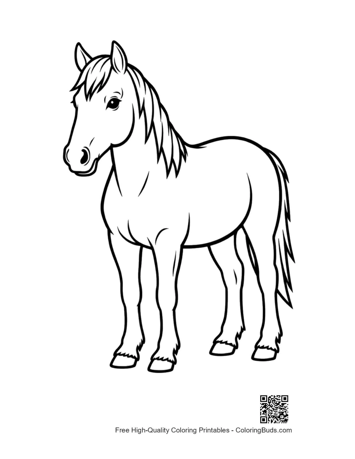 Cute cartoon pony standing proudly