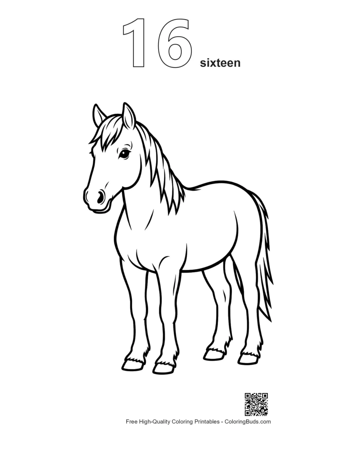 Pony coloring page outline #16