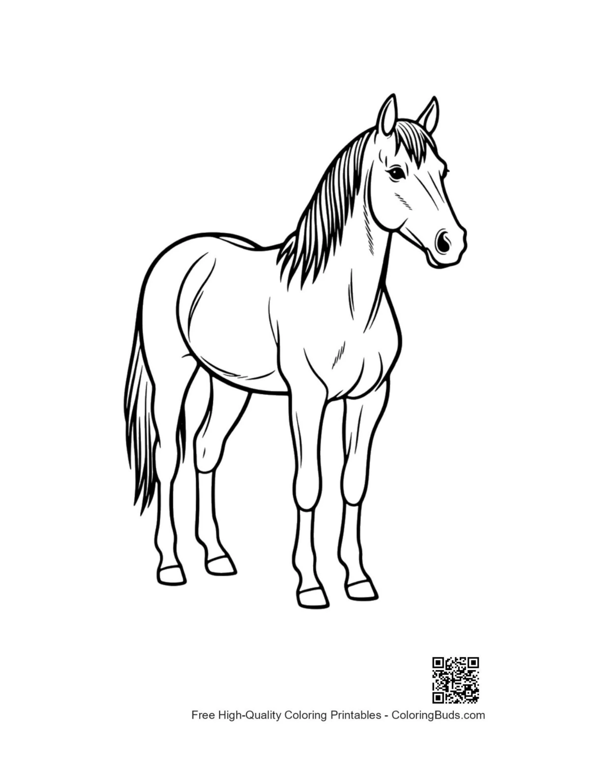 Cute pony standing proudly coloring page