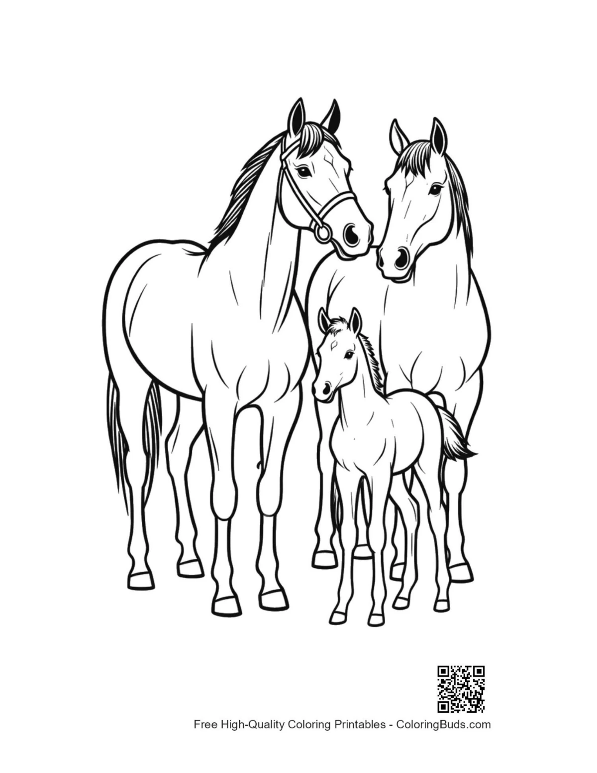 Adorable horse family outline for race horse coloring