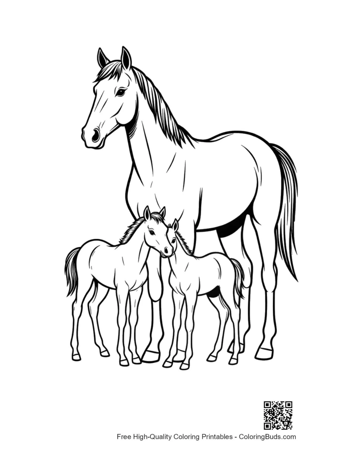 Race horse mare with twin foals art