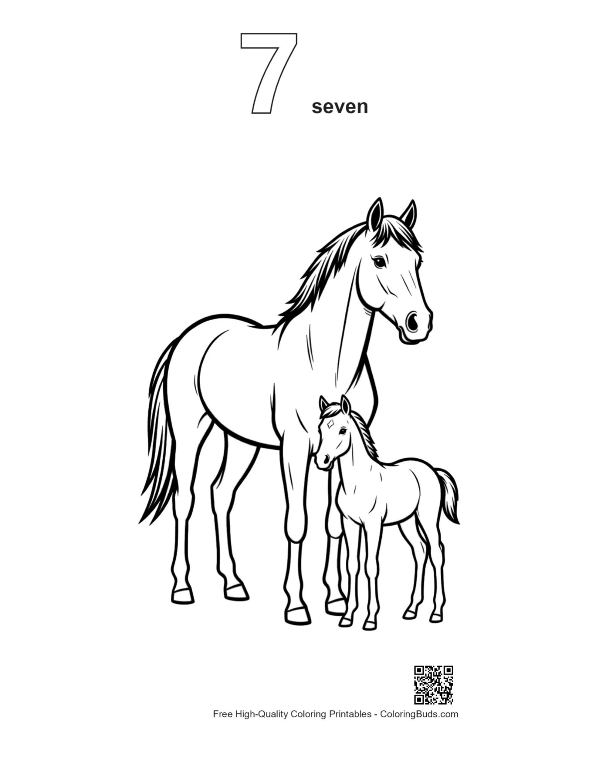 Racehorse foal outline numbered 7