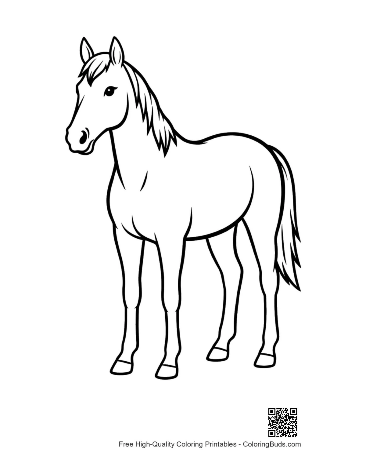 Sleek racehorse standing proudly illustration