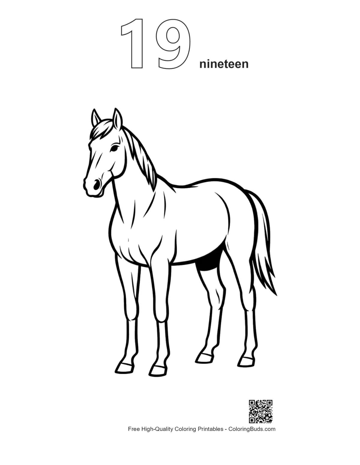 Racehorse outline with number 19