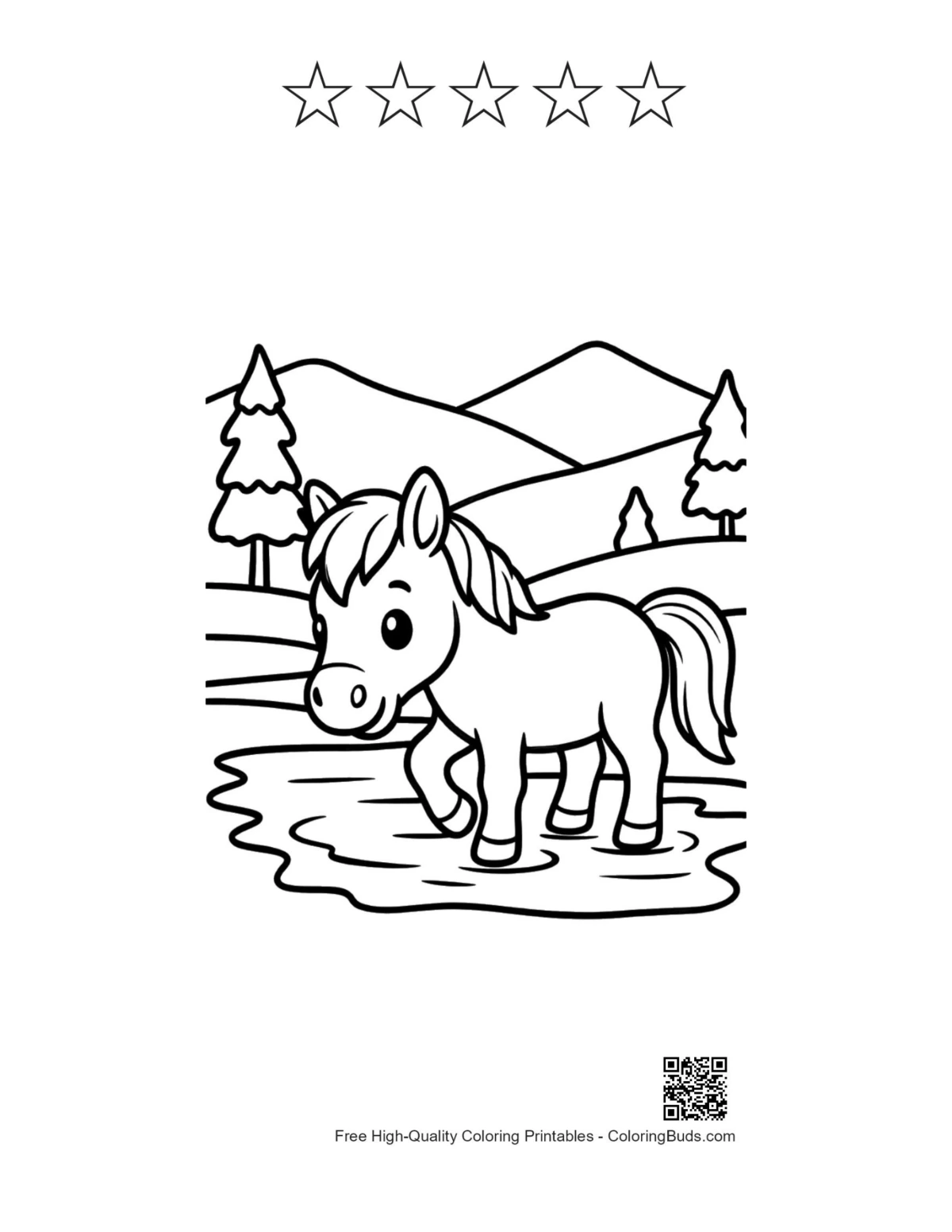 Wild horse foal with 5 stars coloring