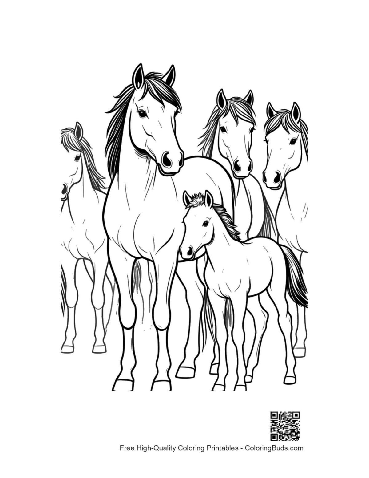 Wild Horse Family Outline coloring page