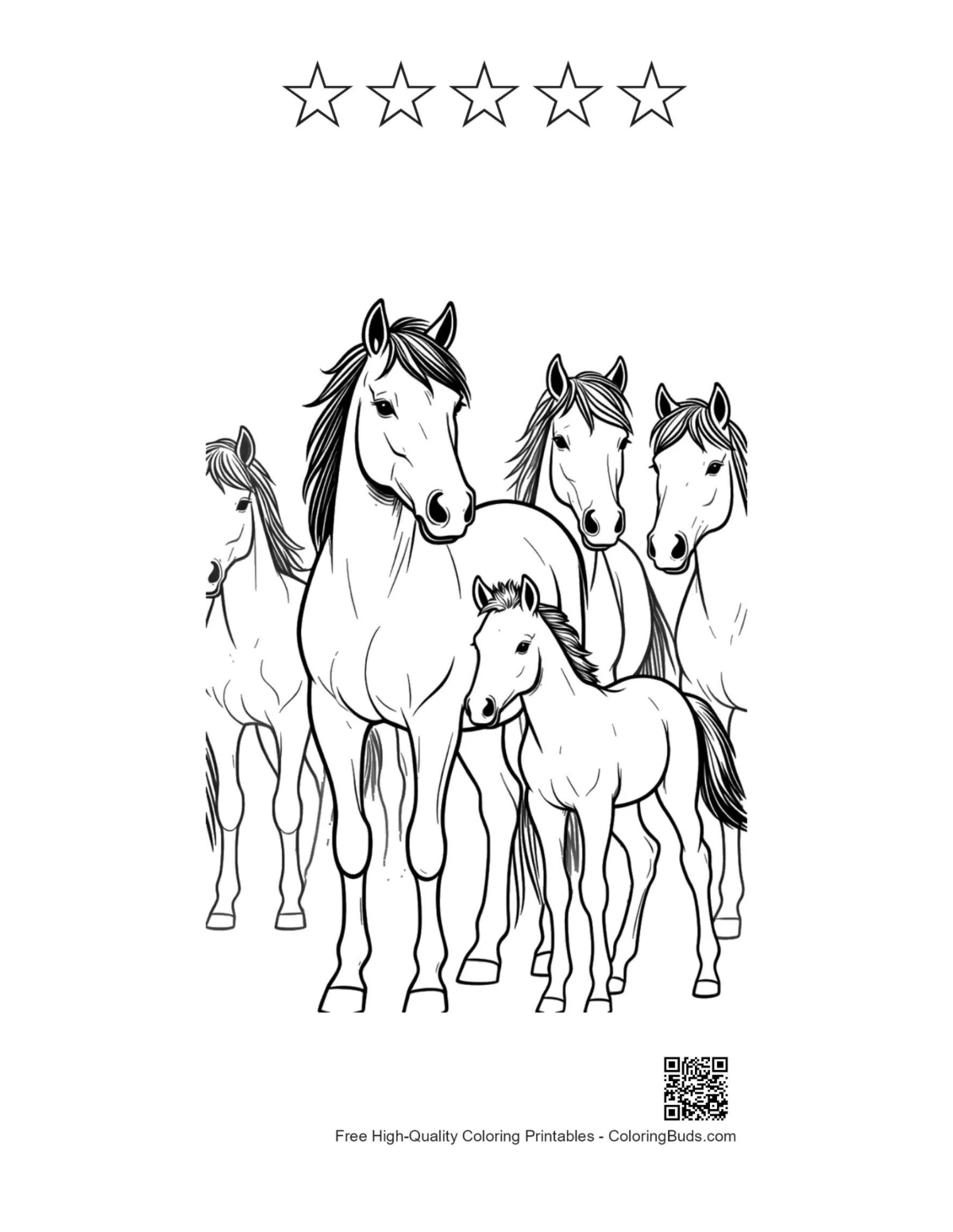 Wild Horse Family with 5 stars outline