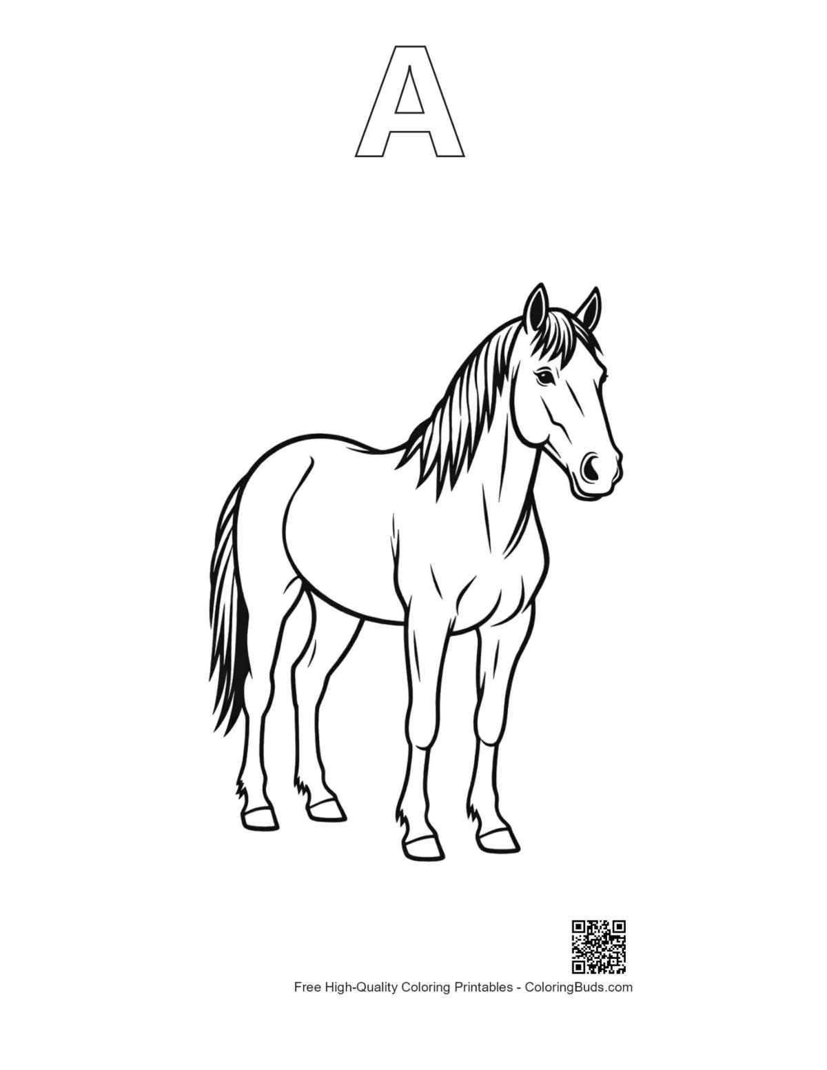 Wild horse outline with alphabet A for coloring
