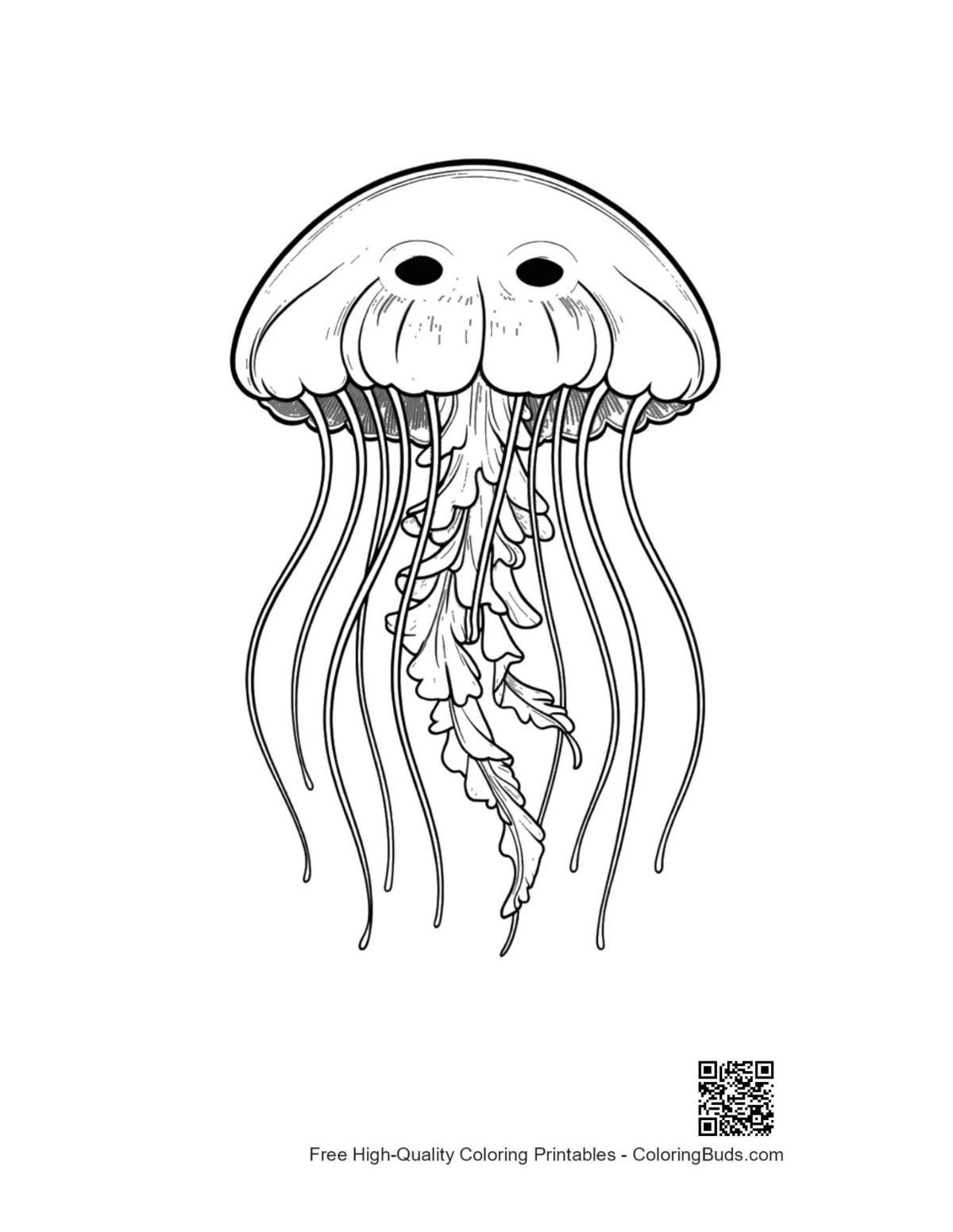 Elegant Moon Jellyfish line art printable