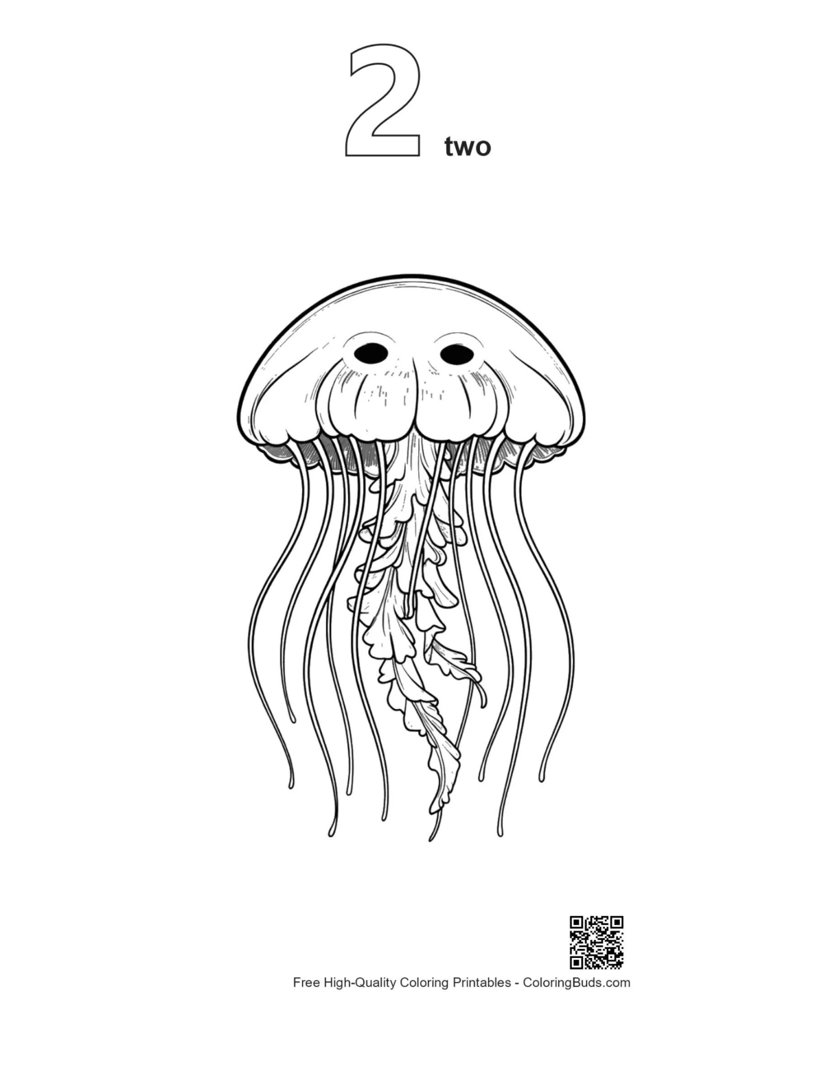 Version 2 Moon Jellyfish coloring outline