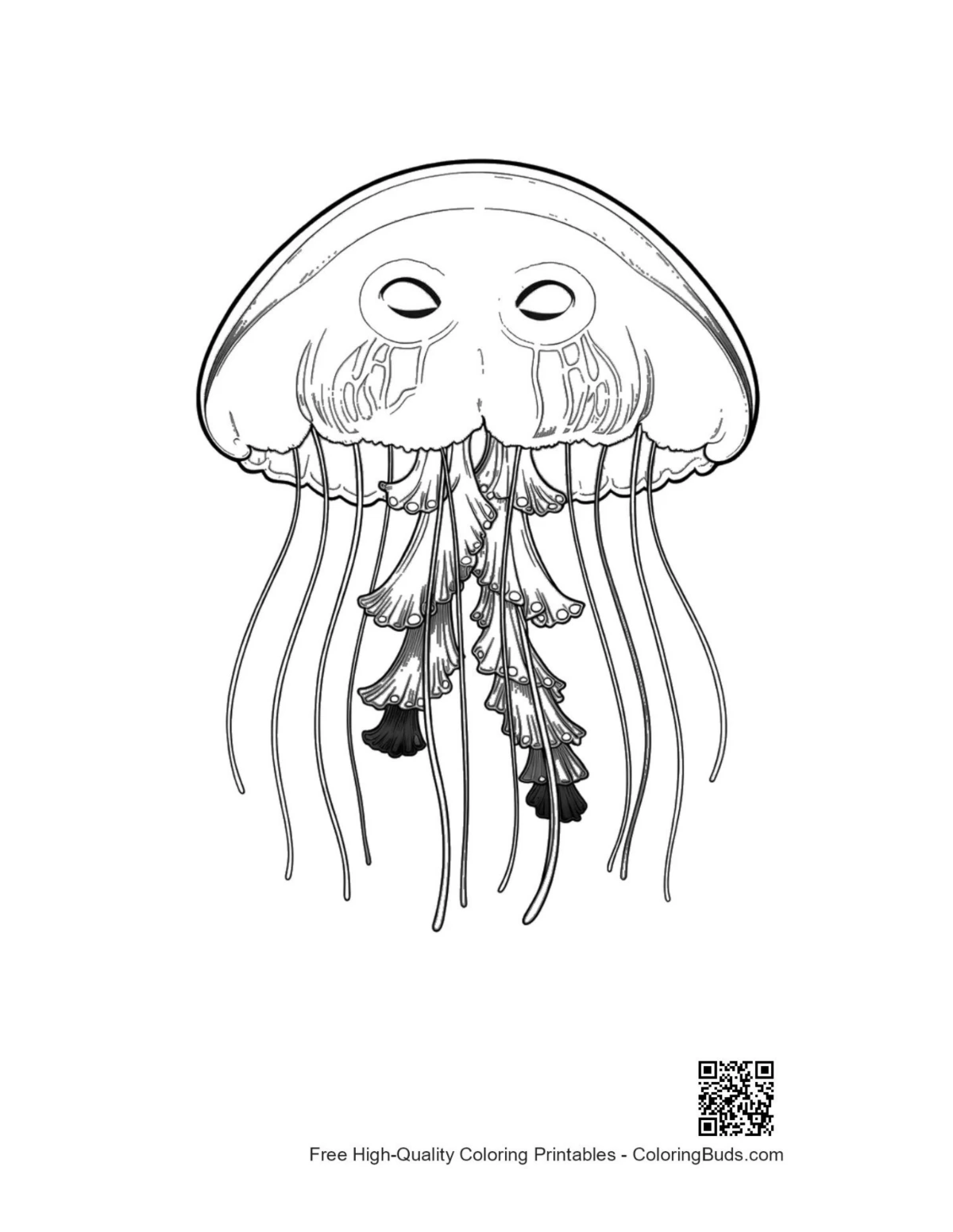 Moon jellyfish line art printable