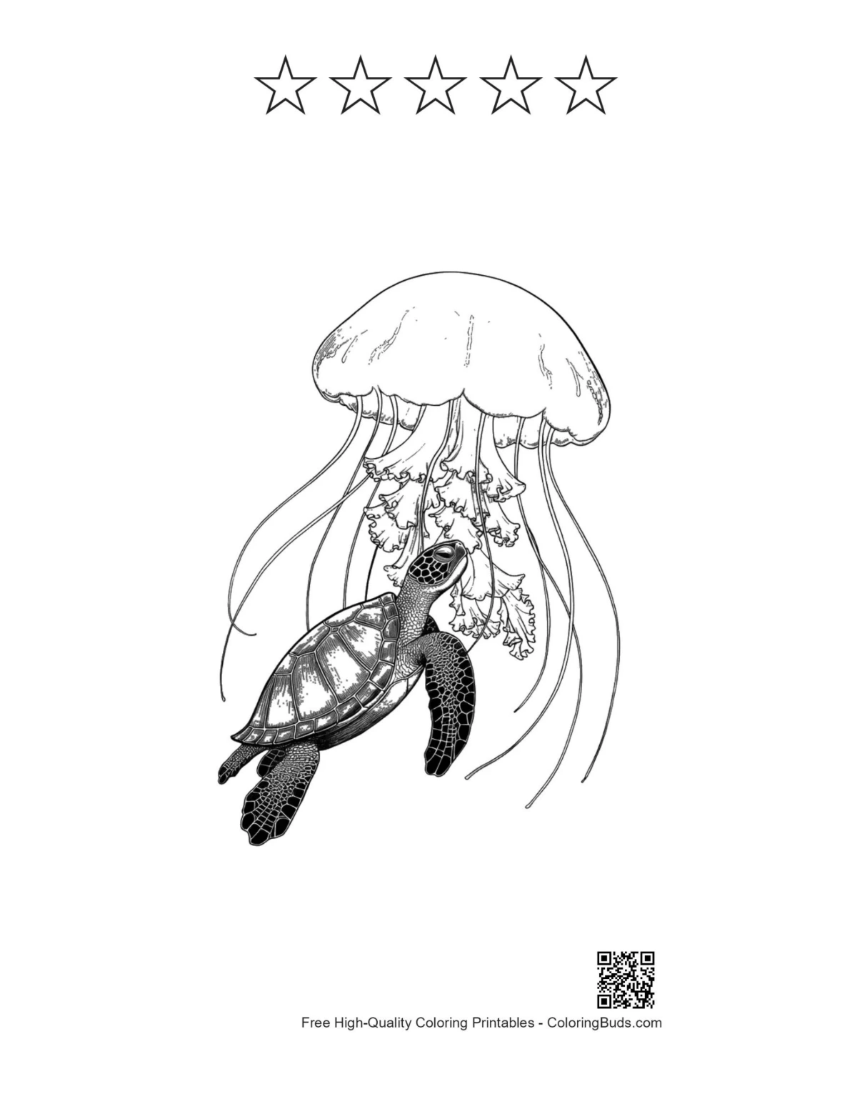 Sea turtle moon jellyfish printable with 5-star outlines