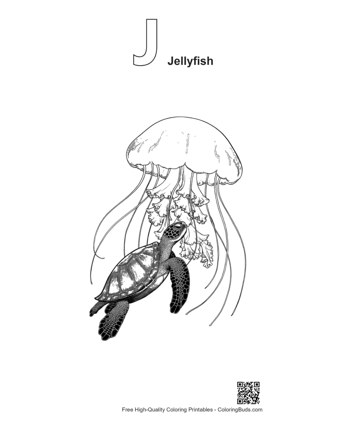 Outline sea turtle nibbling moon jellyfish with J alphabet