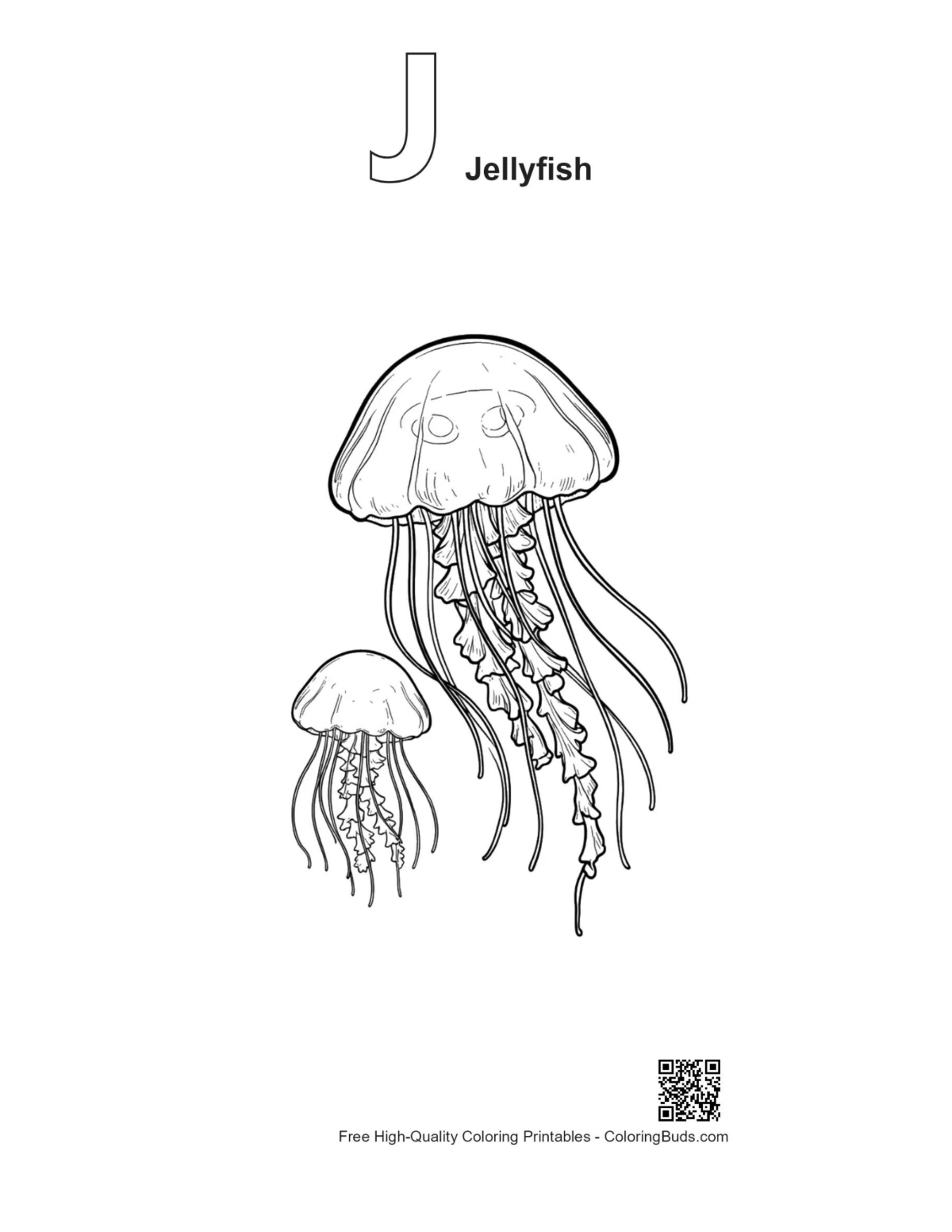 Moon Jellyfish drifting outline with J alphabet