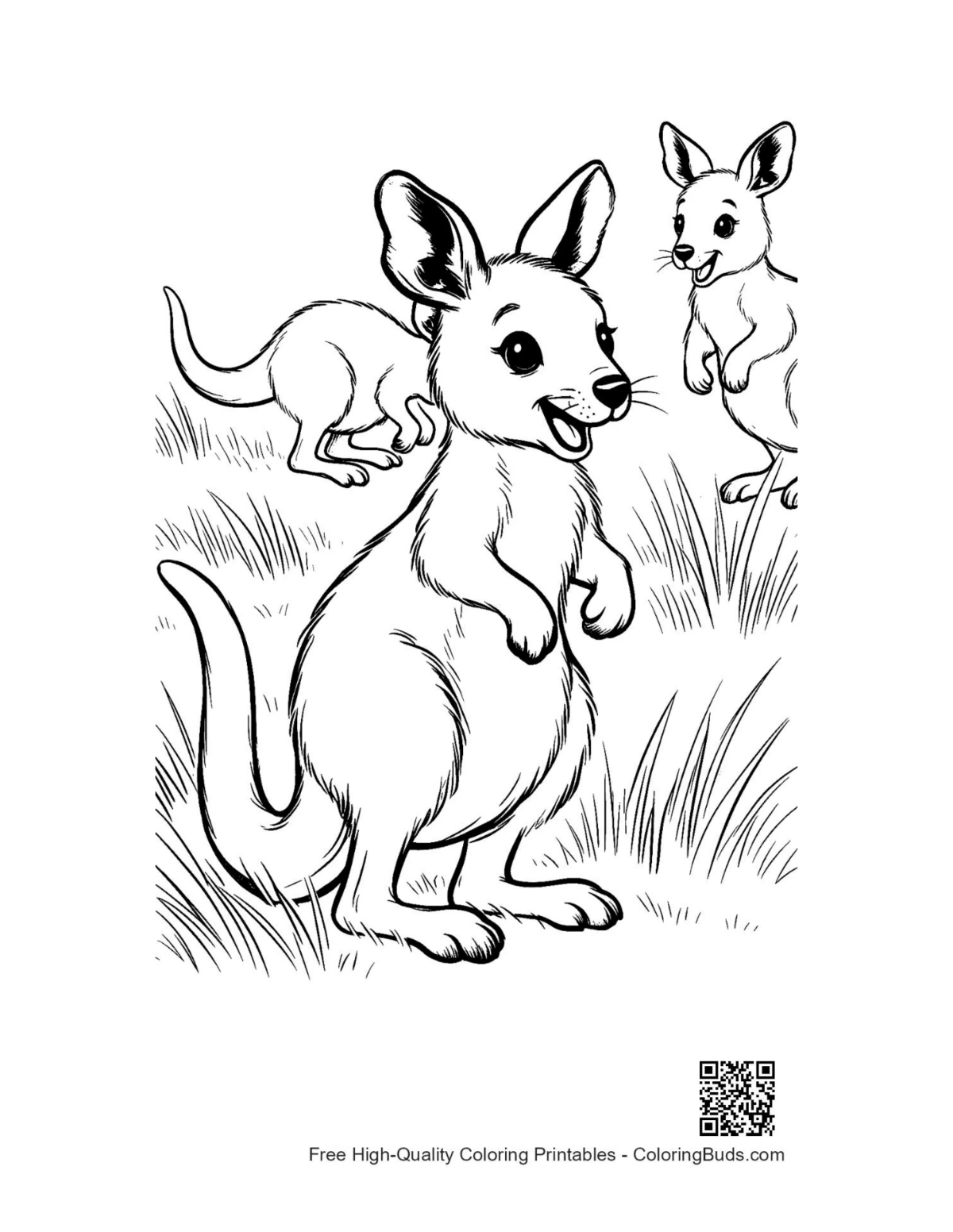 Cute baby kangaroo joey in pouch grassy field printable