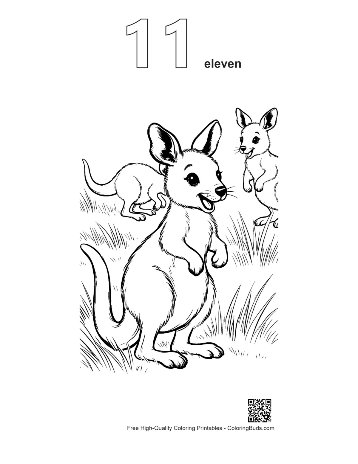 Joey in pouch coloring page outline number 11
