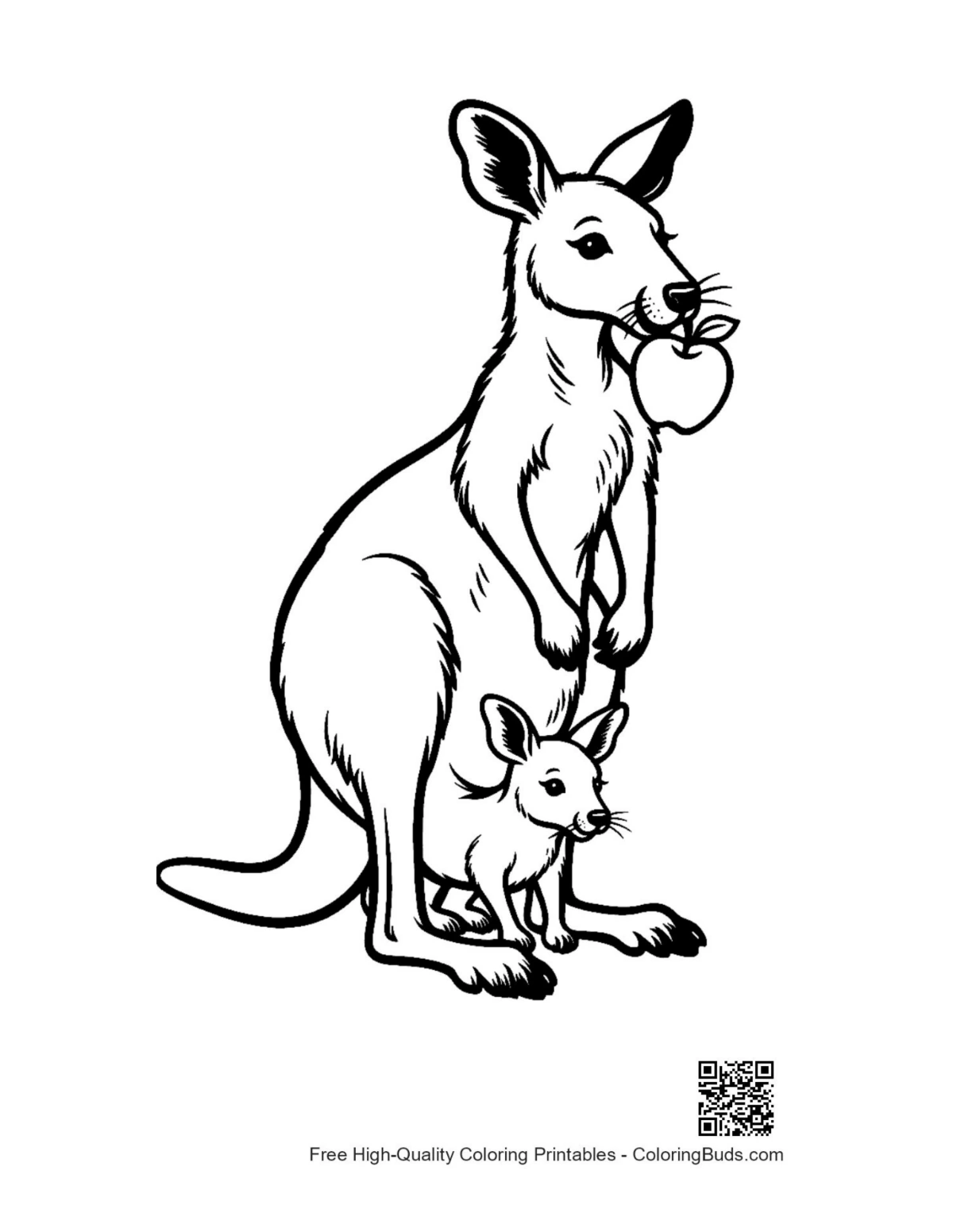 Cute joey in pouch watching mom eat apple printable