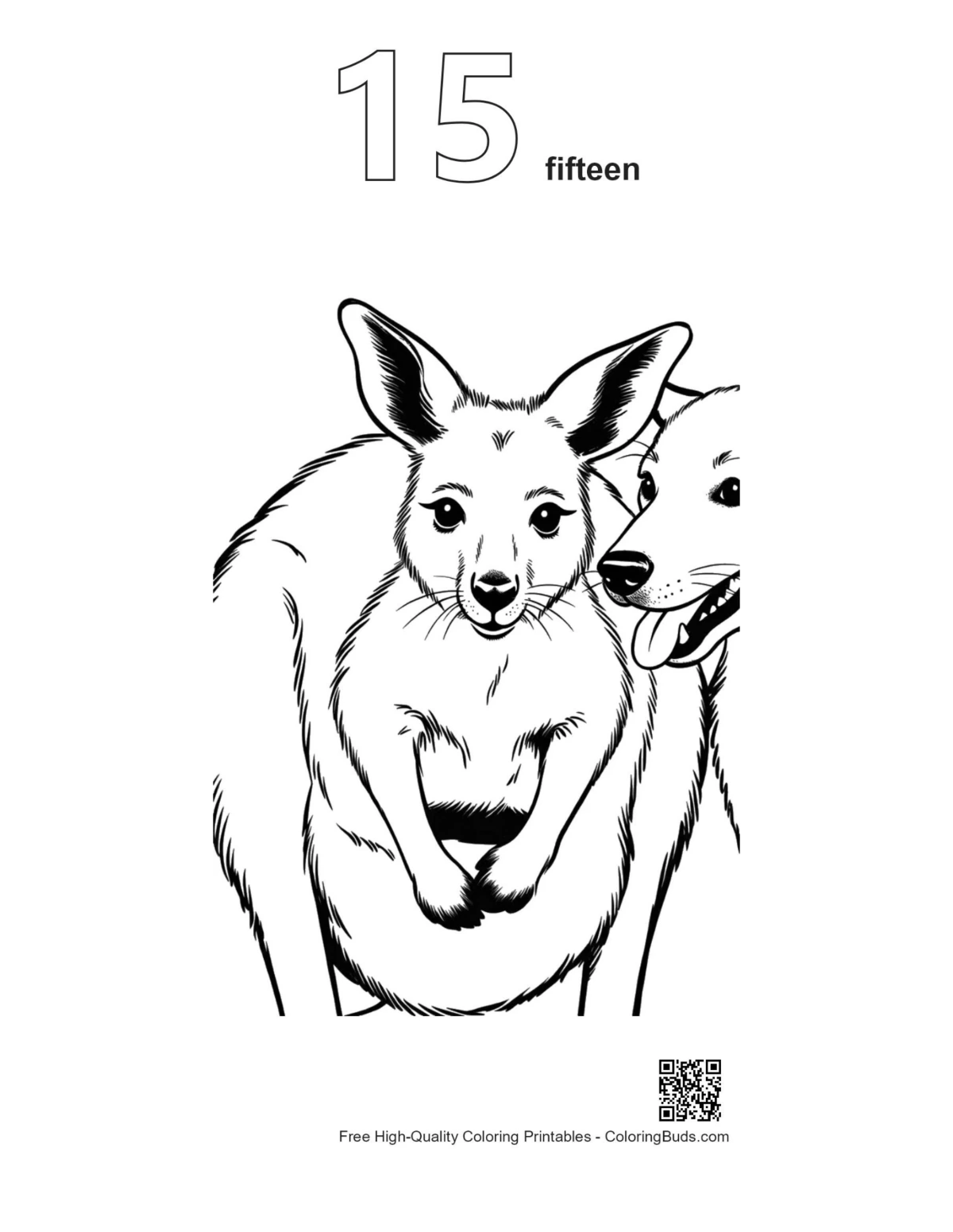Kangaroo joey pouch dog outline numbered 15 printable