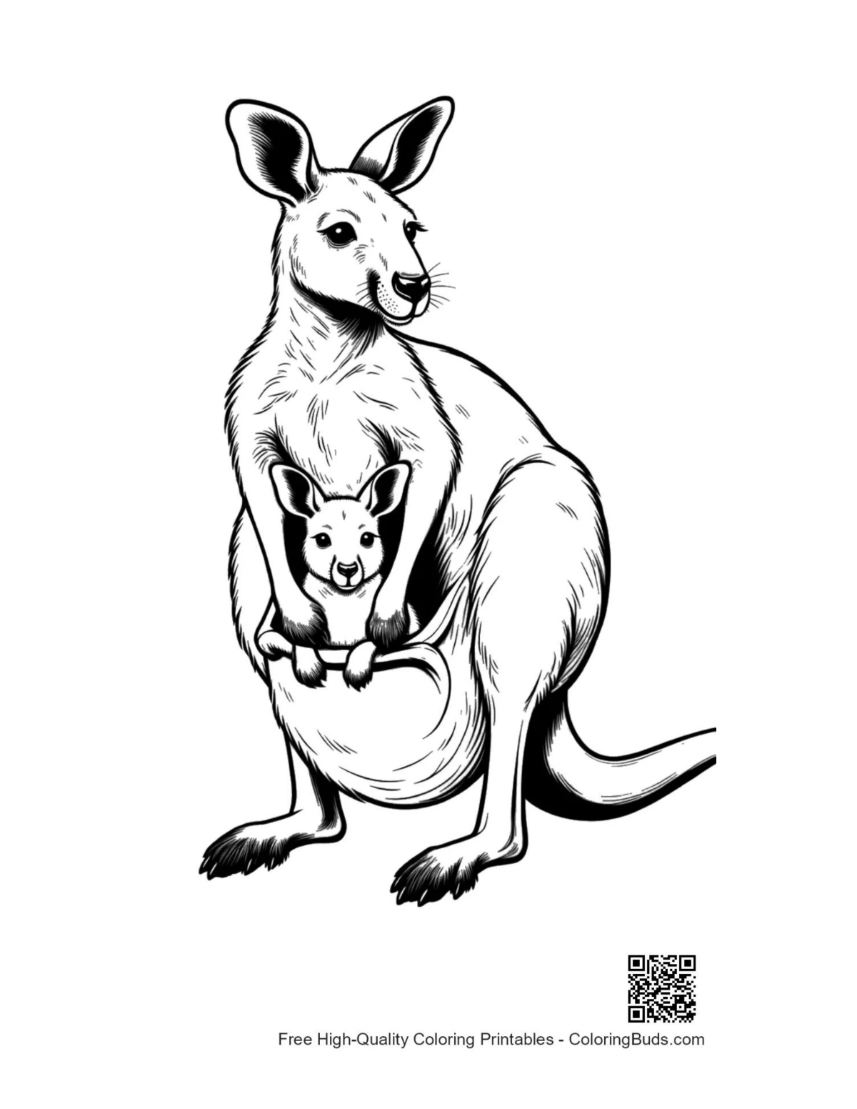 Mother kangaroo nurturing joey in pouch coloring page