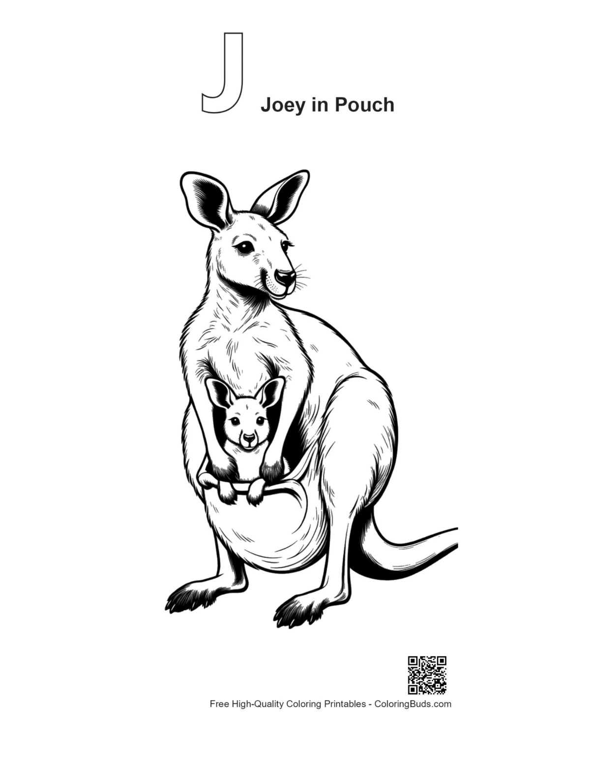 Joey in pouch coloring with alphabet J outline