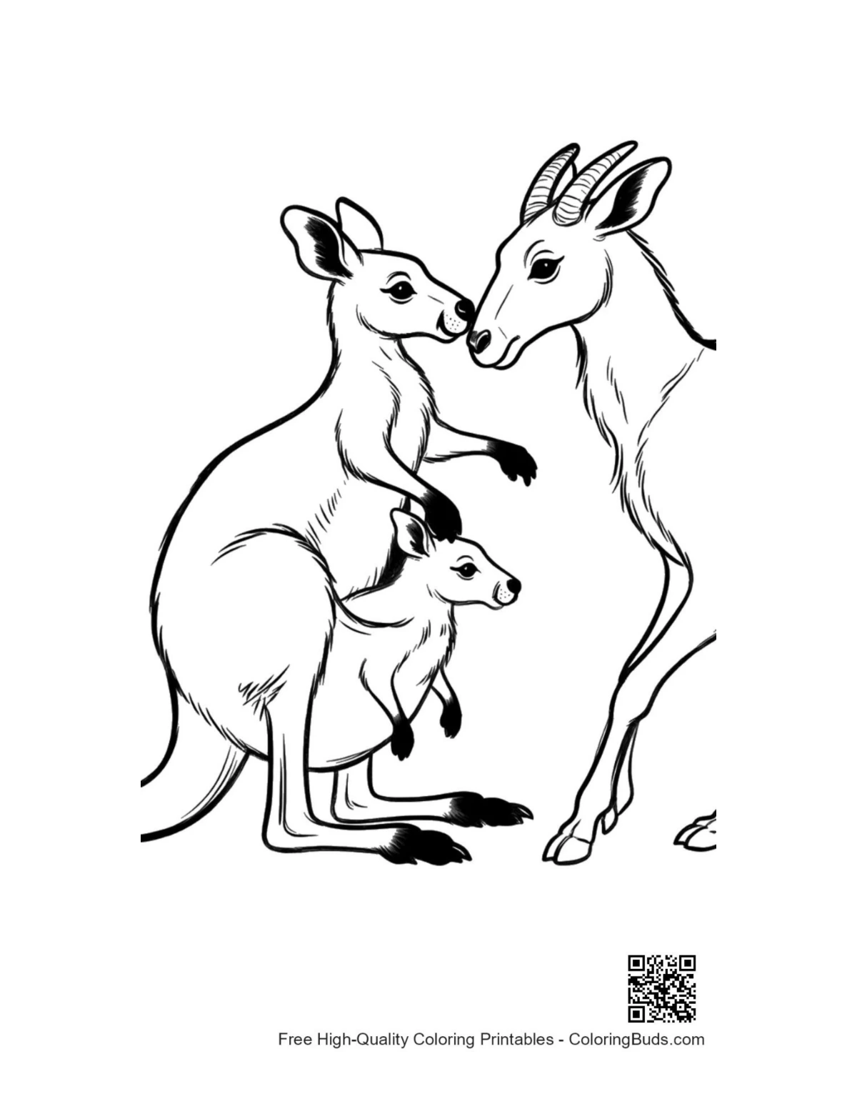 Mother kangaroo nuzzling mate with joey in pouch