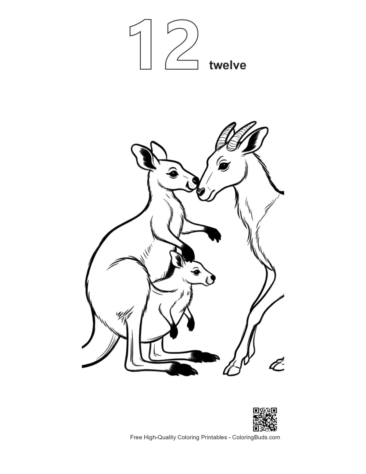 Kangaroo joey printable outline number 12