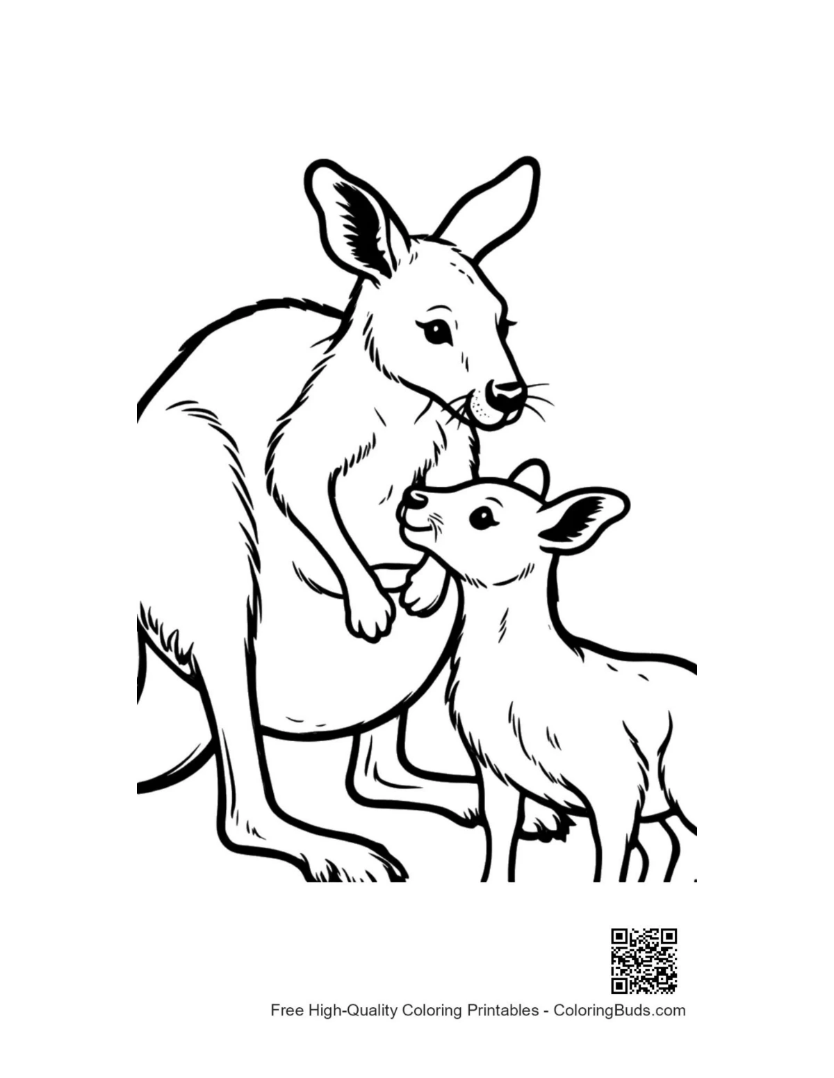 Mother kangaroo with joey in pouch coloring page