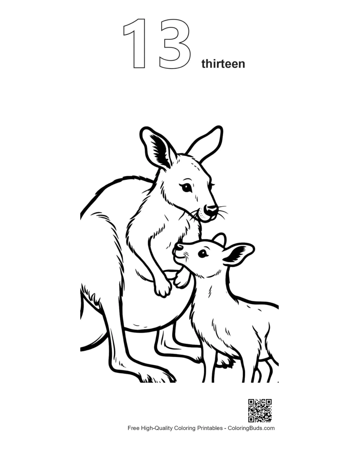 Kangaroo joey in pouch outline with number 13