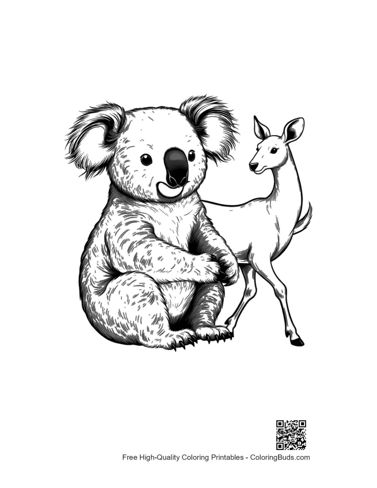 Söpö koala ja peura värityskuva