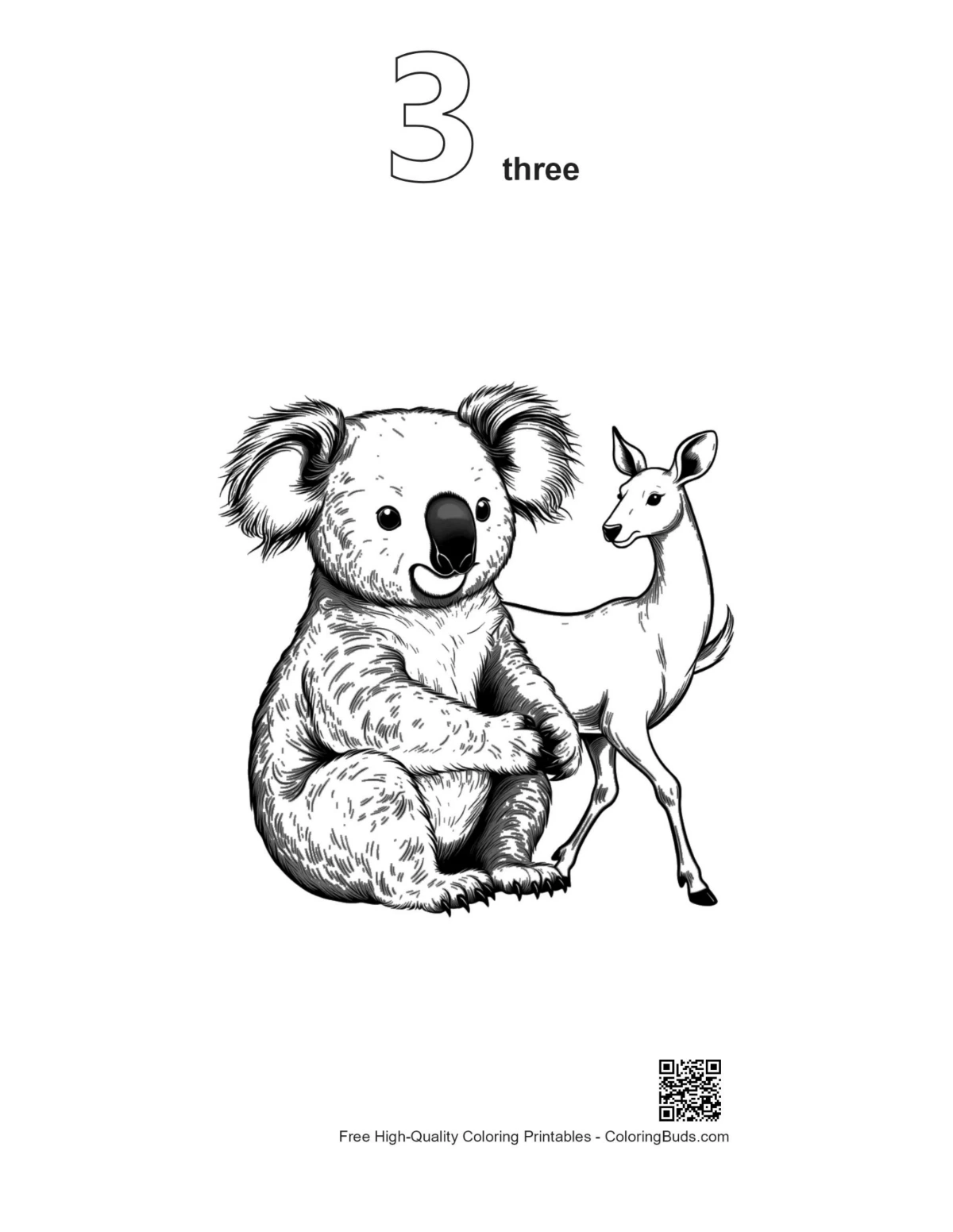 Koala-peuran ääriviivat tulostettava #3