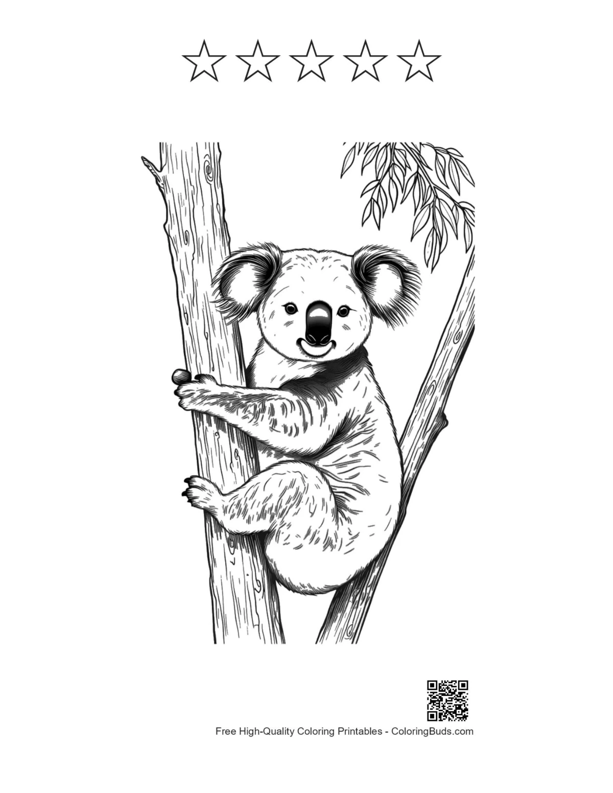 Koala tulostettava viiden tähden ääriviivoilla