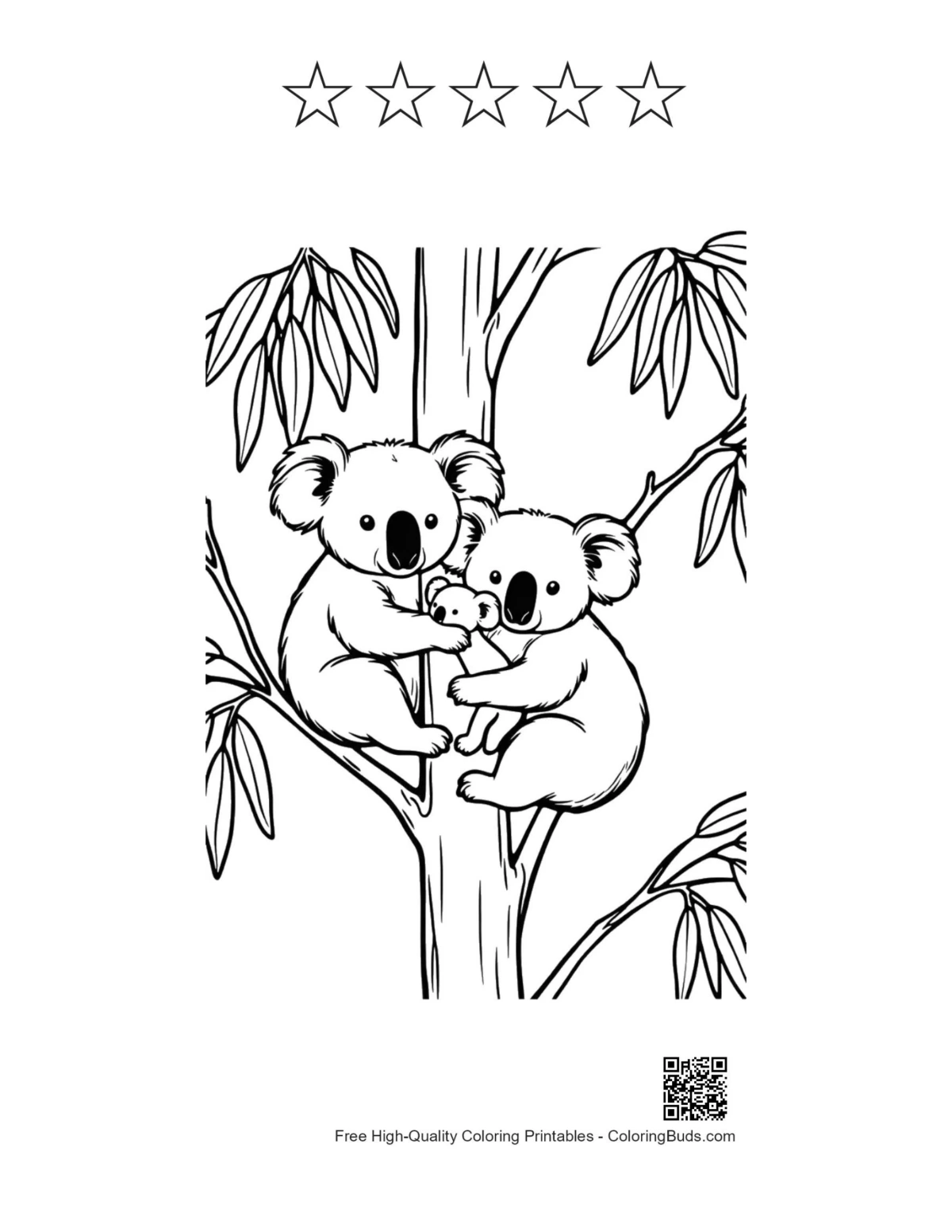 Koala printable with 5 star outlines