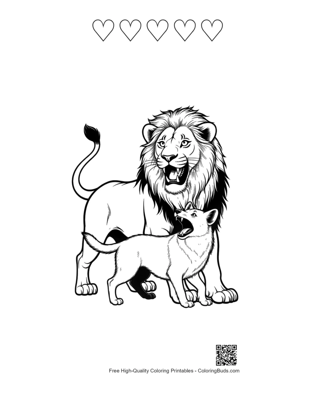 Male lion roaring with cub and heart outlines