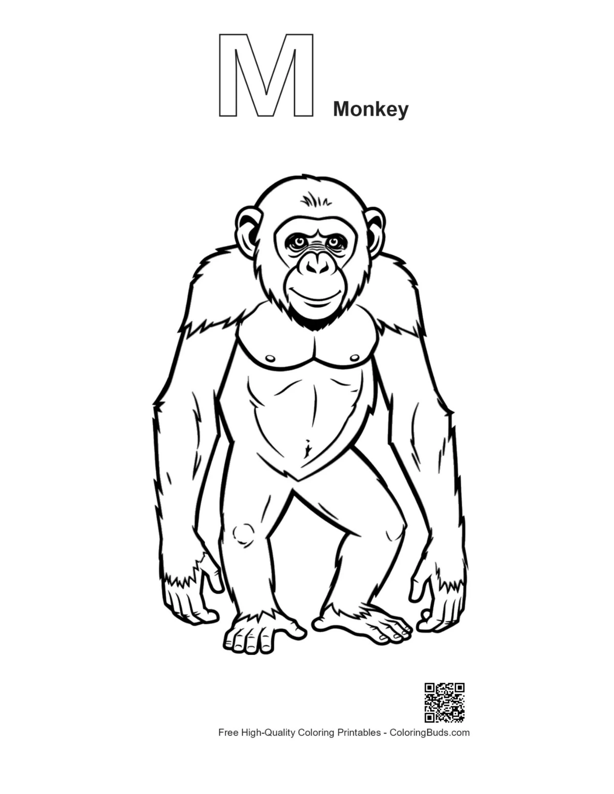 Chimpanzee outline with alphabet M monkey design
