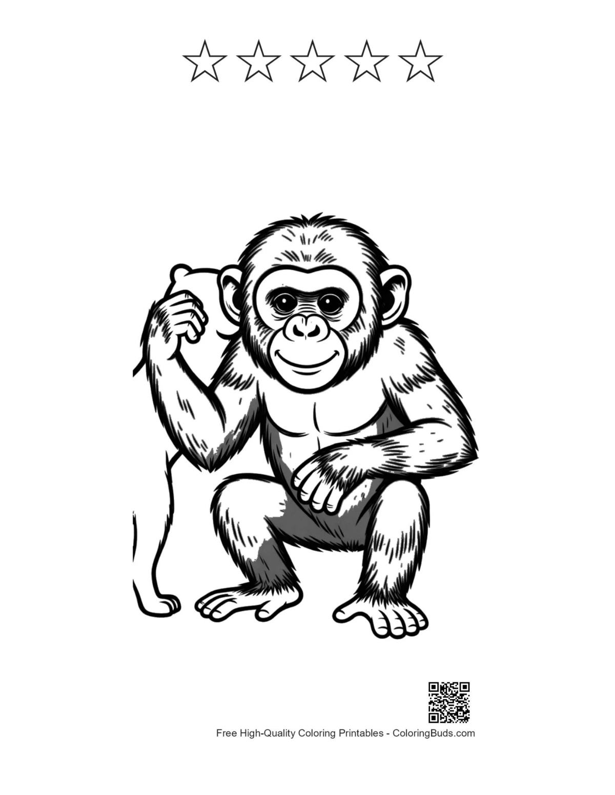 Chimpanzee teddy bear with star outlines