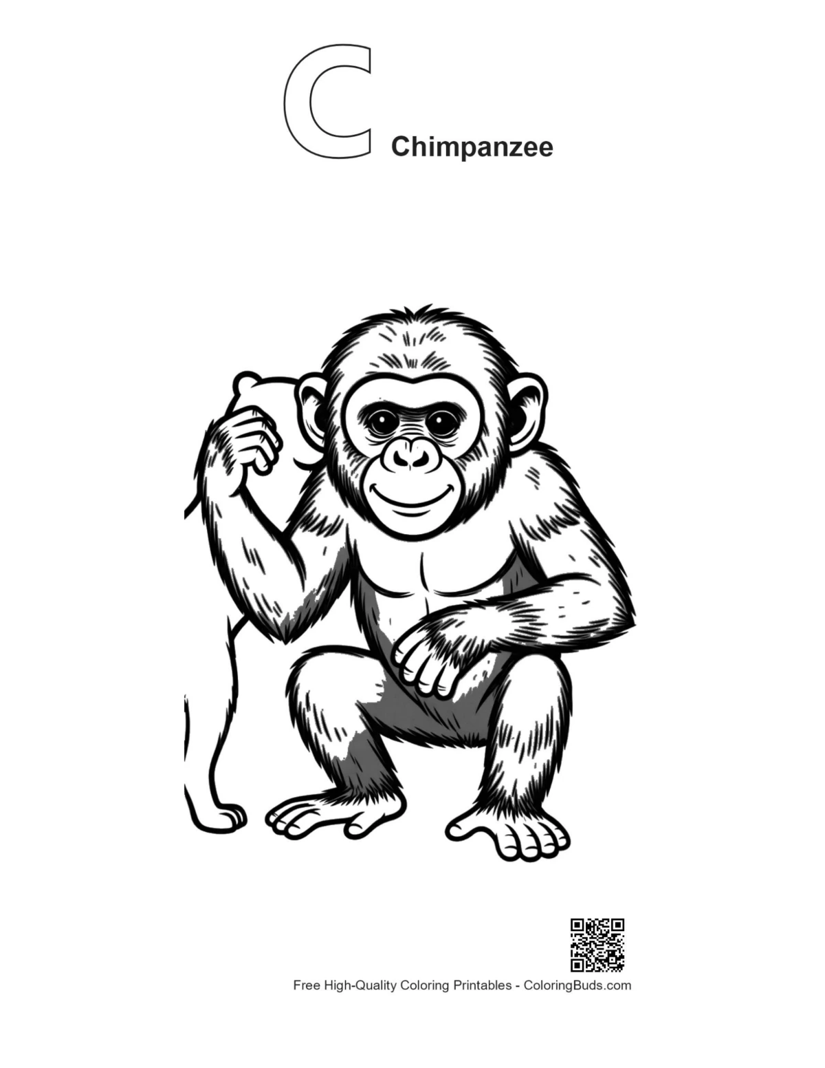 Chimpanzee teddy bear outline with letter C