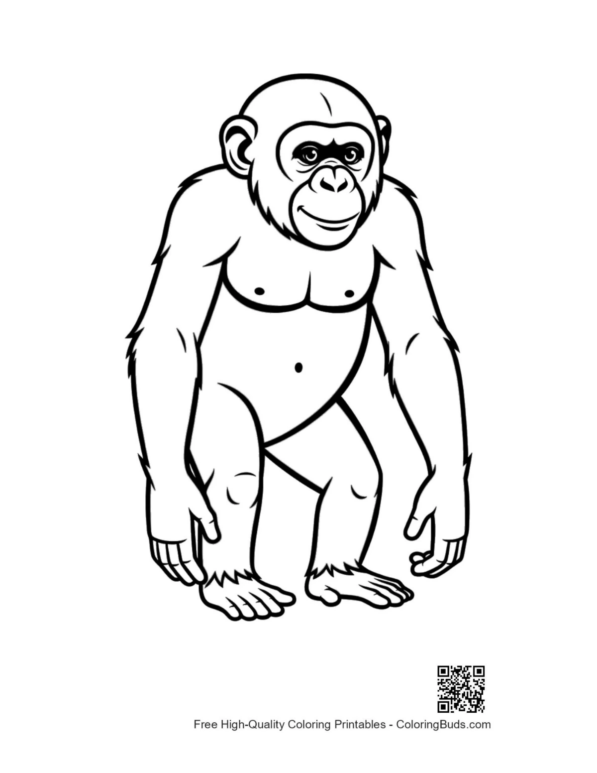 Playful chimpanzee standing upright coloring page