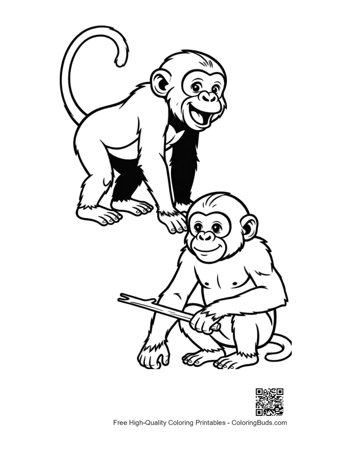 Two happy chimpanzees playing with stick