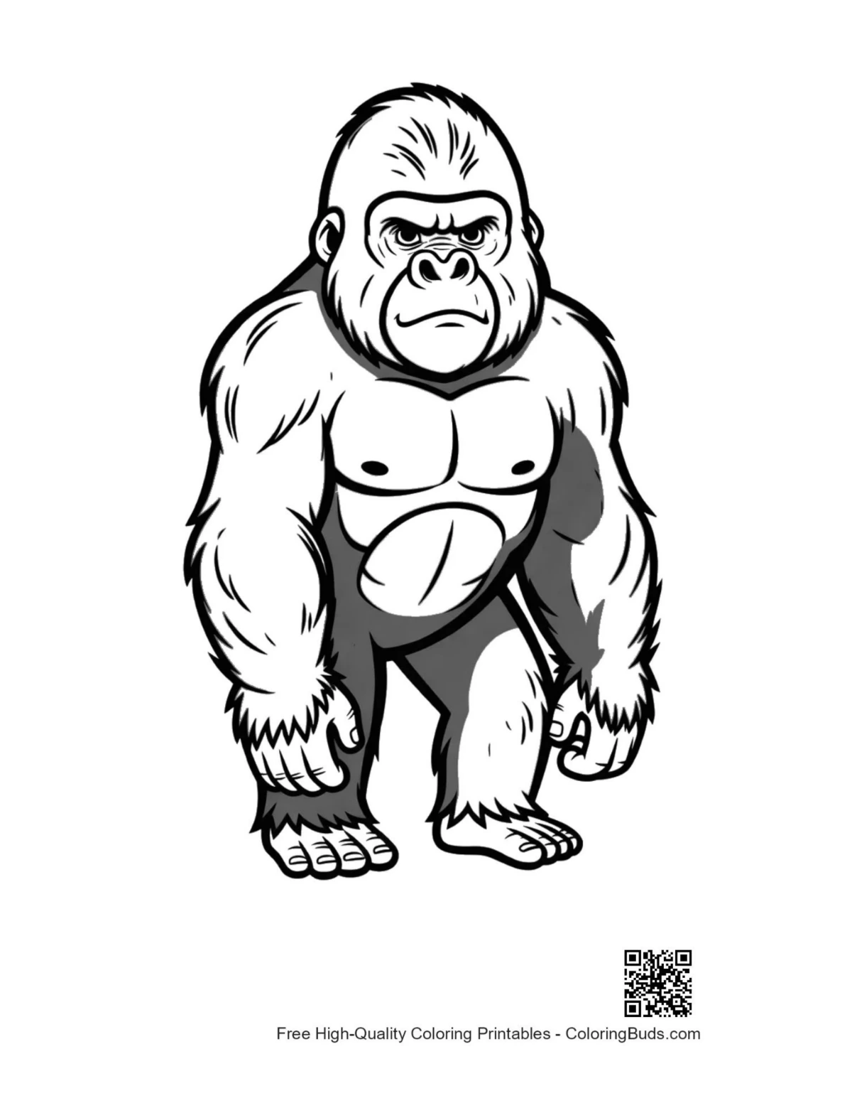 Muscular angry gorilla standing fiercely outline