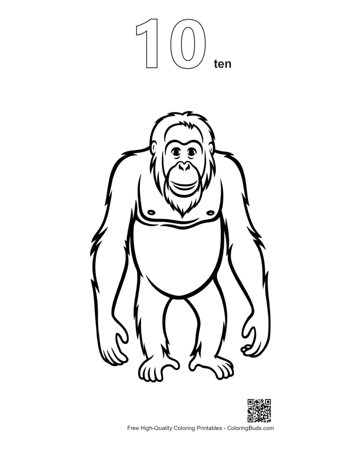 Orangutan outline with number 10 printable