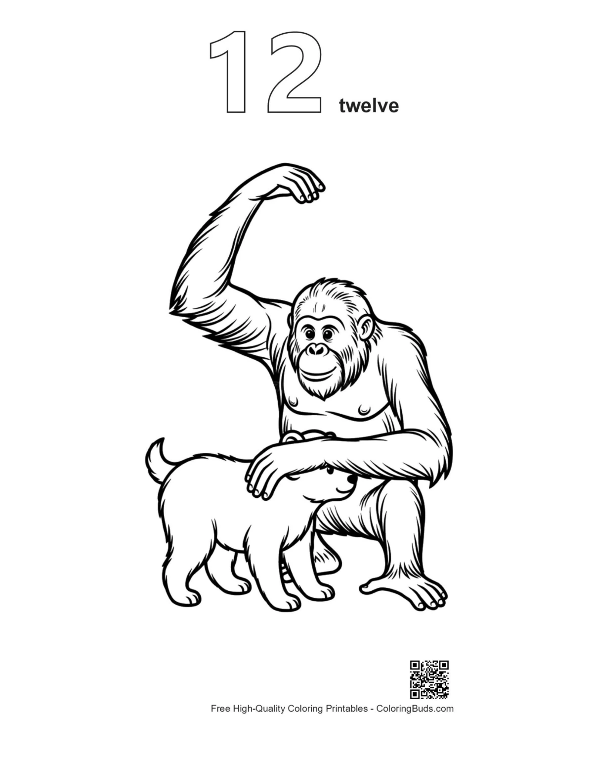 Orangutan puppy coloring page number 12