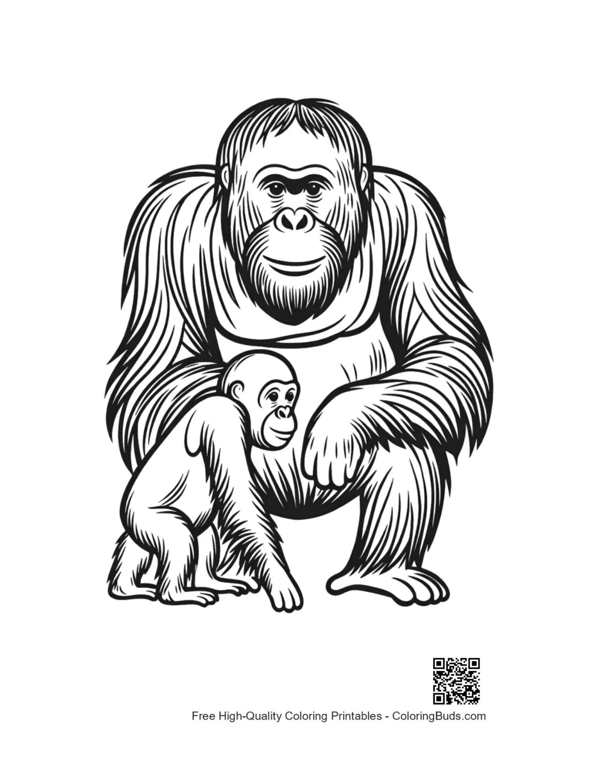 Line art of orangutan mother and baby
