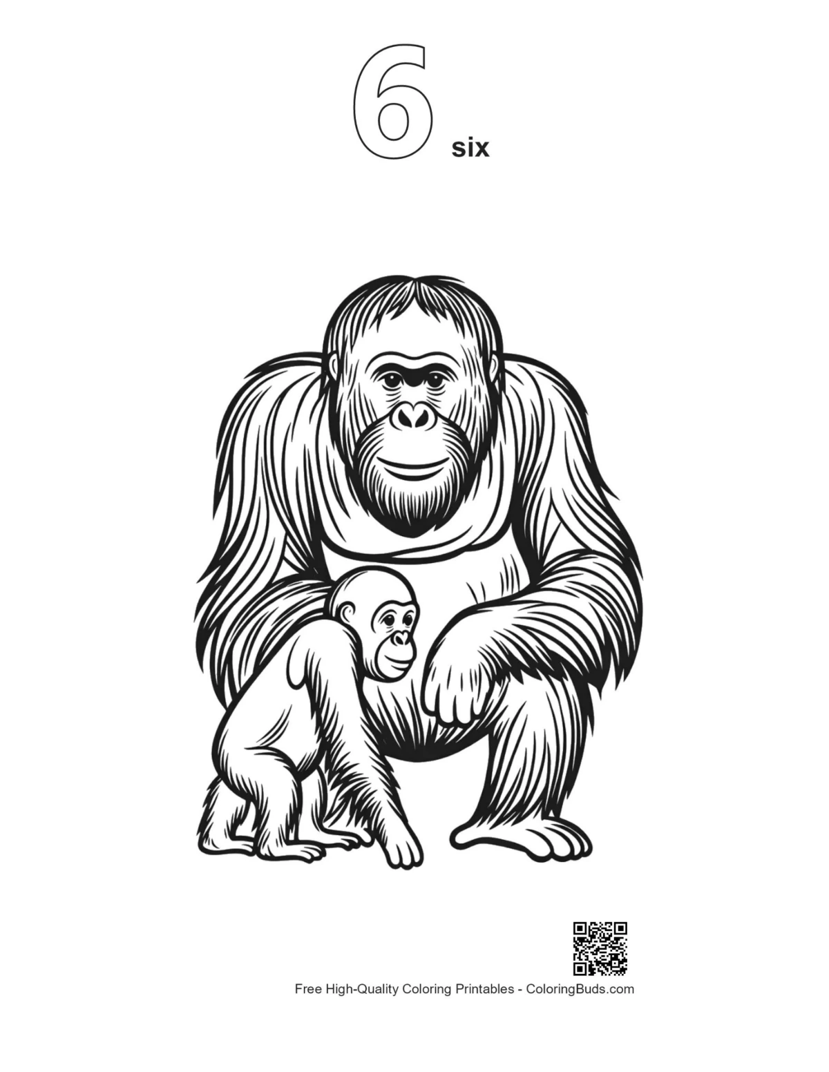Orangutan line art with number 6 outline