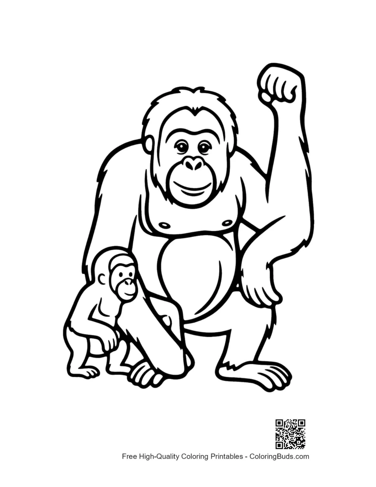 Proud orangutan mother and baby standing outline