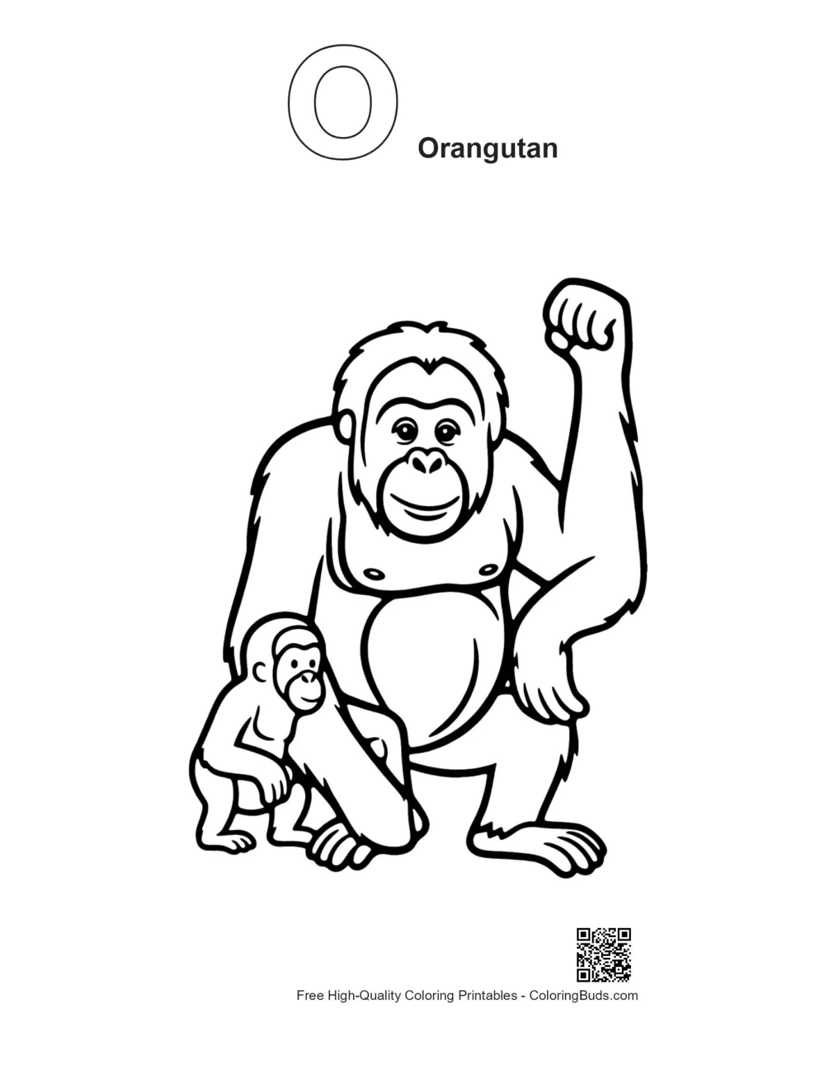 Orangutan alphabet O coloring outline