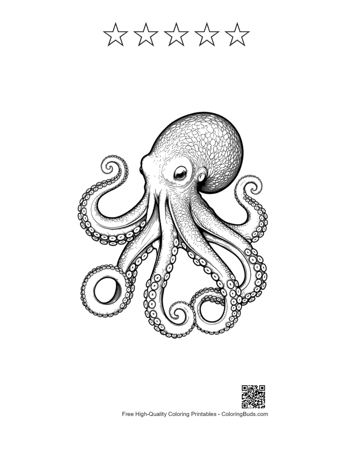 Giant octopus printable with 5-star outline
